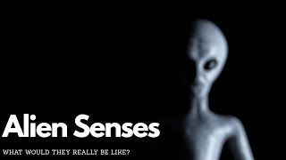 Celebrity Alien Senses EXPLAINED: What Would They Really Be Like? Net Worth