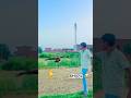 Attack #birds #youtubeshorts #armanbadshah #shortvideos #viralshort #armanbadshah #shorts #viral
