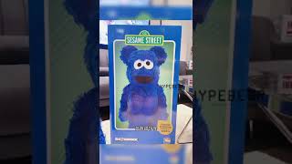 Bearbrick Cookie Monster ( Costume Version) 1000%