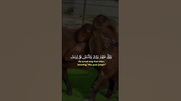 #القران_الكريم #اكسبلور #دويتو #المصحف #تيك_توك #تلاوه_خاشعه #duet #خيل #ترند #راحة_نفسية