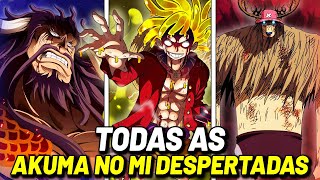 One Piece - Veja quais personagens já despertaram as suas Akuma no Mi -  Critical Hits