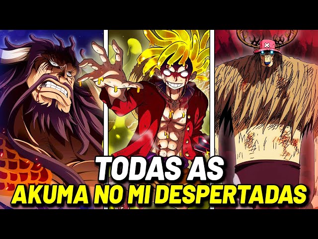 One Piece  Todos os usuários que despertaram suas frutas, até agora