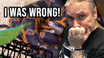 I WAS WRONG!! I AM SORRY!! ALSO HUGE ANACONDA SHEDS IN ONE PIECE! | BRIAN BARCZYK