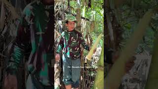 Harvesting GIANT Bamboo Shoots Deep in the Jungle! 🌿🔪 #Shorts