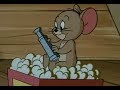 Tom And Jerry Shutter Bugged Cat 