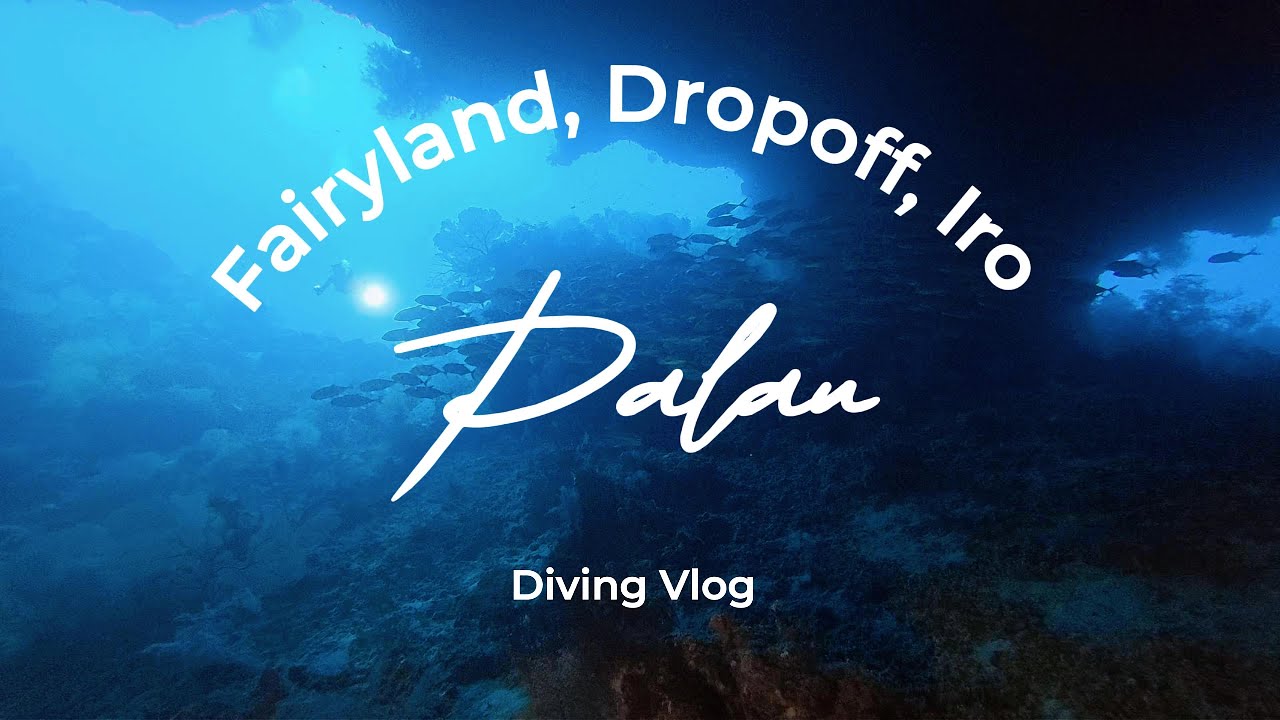 帛琉潛水2025-洞穴+沈船