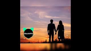 Tukish sultan abdul hamid song turkish famous song (Macatokia)🎧🇧🇩