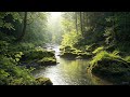 ⭐ Relaxing Music for Stress Relief | Peaceful Forest & River Scenery for Deep Calm