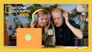 sounds good weird but true full episode natgeokids