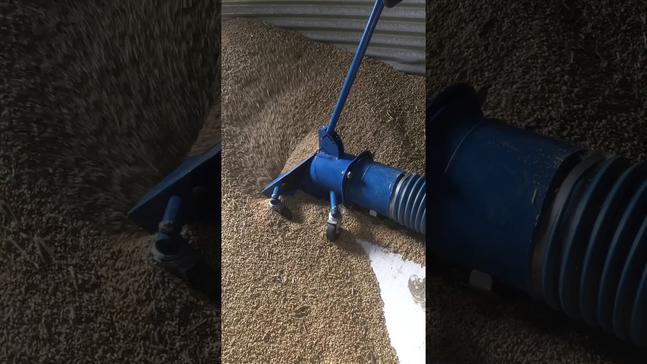 Brandt grain vac in action!! YouTube