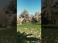 دعاء يوم الخميس إنشاءالله