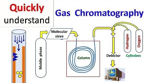 Gas chromatography | GC