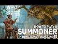 How to Play a Summoner in Dungeons and Dragons 5e