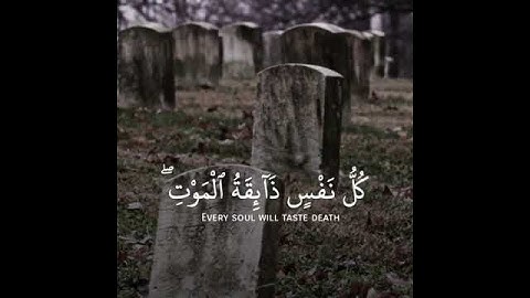 حالات انستقرام  - حالات واتس آب دينية  - تلاوات رائعة  - قرآن - Quran