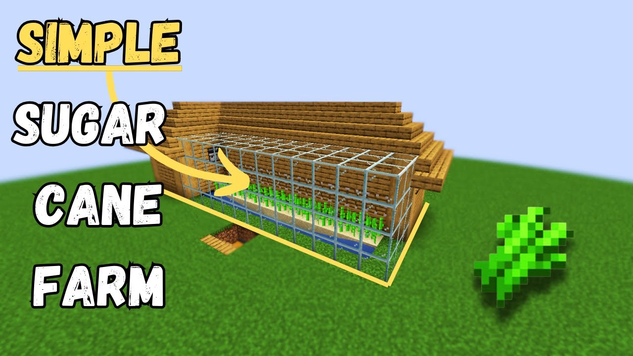 Minecraft | How To Build Simple Auto Sugar Cane Farm | Building ...