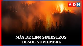 Conaf alerta por aumento de incendios forestales al inicio de 2026