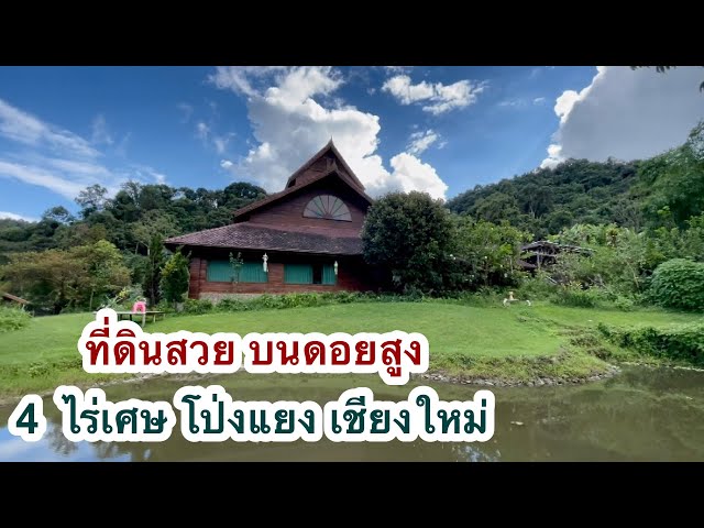 Land For Sale .. 4 ไร่เศษ พร้อมโรงผลิตน้ำดื่ม บนดอยโป่งแยง แม่ริม เชียงใหม่  - Youtube