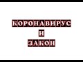 Адвокат о самоизоляции: законны ли действия властей?