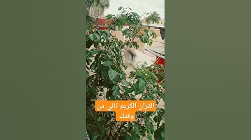 لآ تهرب القرآن الكريم ثاني من وقتك