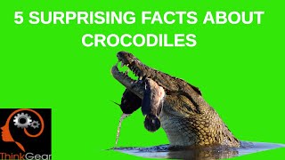 Five Surprising Crocodile Facts #CrocodileFacts  #CrocodileDocumentary Wealth