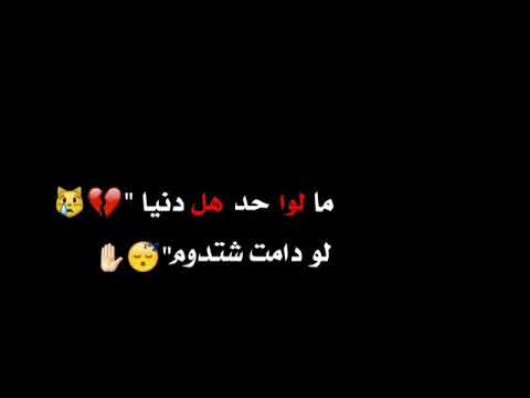 قلب ماعند ساس
