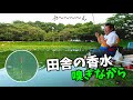 田舎の香水ってしってますか？【茨城県坂東市 桜の湖】