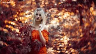 The Autumn Leaves - George Mavridis (ReWork)