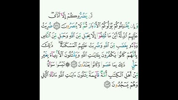 3 - سورة آل عمران ١١١-١١٣ - سعود الشريم