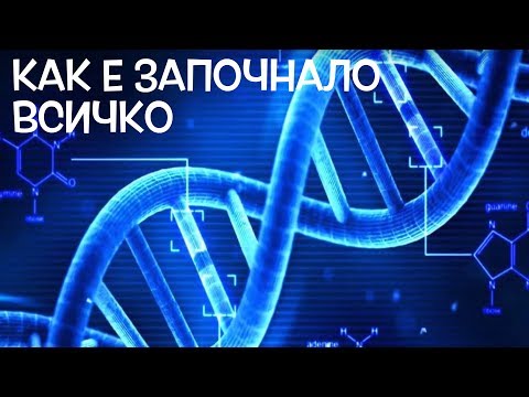 Видео: Теорията за човешкия воден произход - Алтернативен изглед