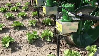 Garford Robocrop In Salat