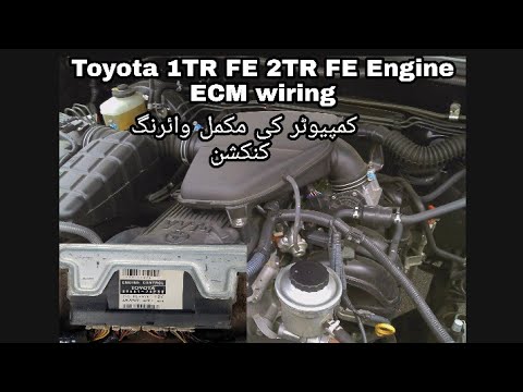 Toyota 1TR FE 2TR FE ECM full wiring connection Toyota Hilux 2005 - YouTube