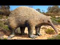 Murrayglossus - The Giant Echidna