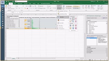 SAP Business ByDesign customer analytics demo with embedded Excel reporting