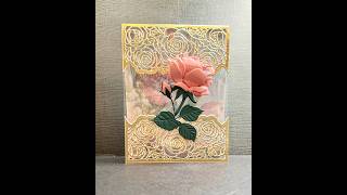 Acetate Front Rose Garden Top Fold