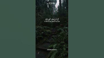 سورة [ طه ] 🧡📿 #سورة_طه #خالد_الجليل #قرآن #القرآن_الكريم #quran #fypシ #explore #islam #fyp #viral