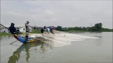 Cả nhà mưu sinh lưới chụp 3 màng trên sông Hậu - Sông Nước Cửu Long - Nguyễn Hùng