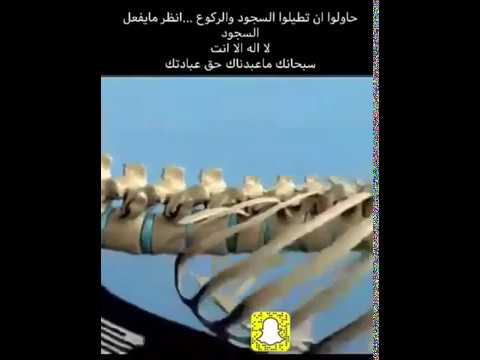 فيديو: هل الزاحف له عمود فقري؟