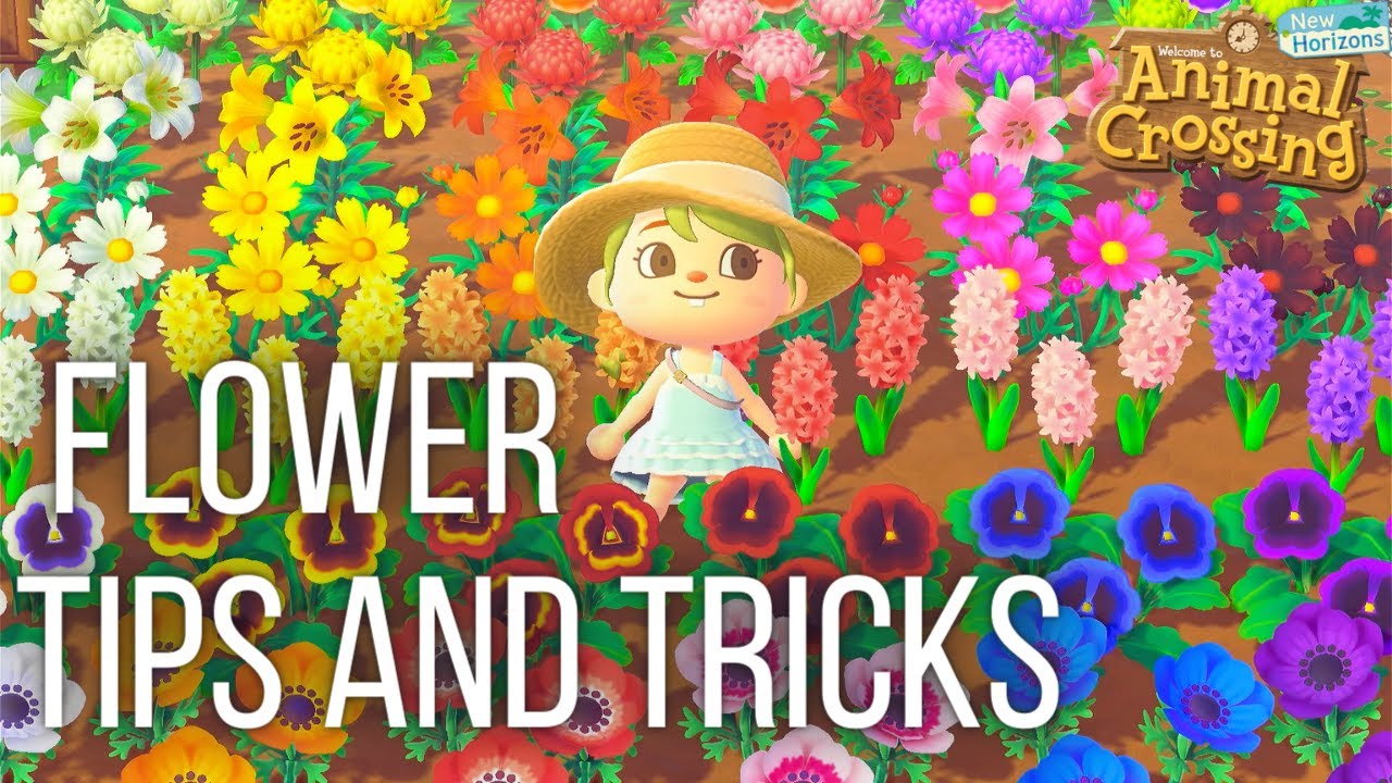 A Different Look at Flowers Animal Crossing New Horizons YouTube