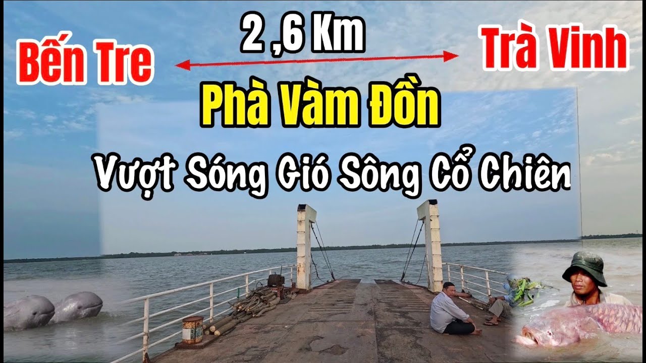 Vượt sóng gió trên phà Vàm Đồn sông Cổ Chiên nối hai bờ Bến Tre và Trà Vinh dòng sông của thủy quái.