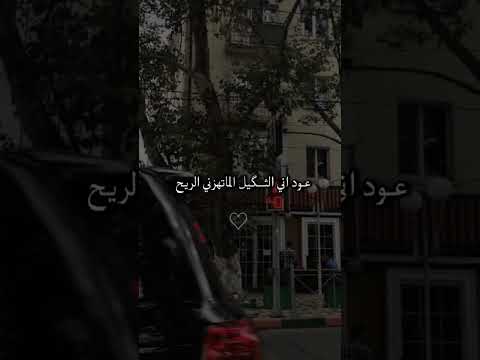 الحجي بيناتنه عيونك مدوختني لايك اشتراك Shorts