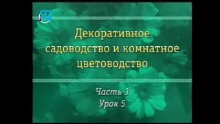Цветы. Урок 3.5. Самые красивые однолетники. Часть 2 Цветы. Урок 3.5. Самые красивые однолетники. Часть 2