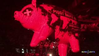 Roger Waters - Pigs (Three Different Ones) Live in Milan 2018 HD