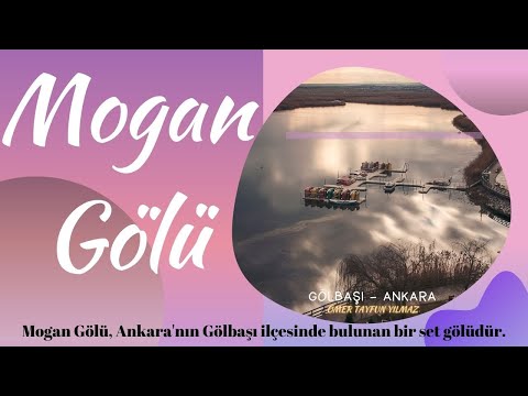 Video: Göl sakinleri. Göllerin florası ve faunası