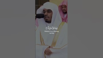 وُجُوهٌ يَوْمَئِذٍ نَّاعِمَةٌ ) بصوت الشيخ#ياسر_الدوسري#سورة_الغاشية