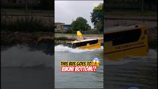 This Bus Goes To Bikini Bottom