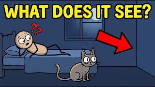 The REAL Reason Your Cat Stares Into Space