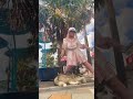 #DreamTrackAI Naomi Star got my bike, my Husky and my moves. It’s all I need so let’s just groove