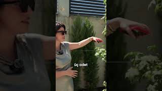 İzmir Çeşme Villamızın Peyzaj Projesini Peyzaj Mimarımız Merve Hanım Ile Birlikte Geziyoruz.