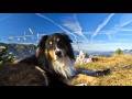 Wandern mit Hund: Ramsau Berchtesgaden