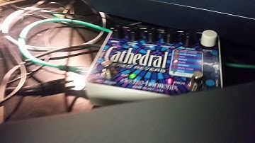 WALDORF PULSE VINTAGE SYNTH TEST